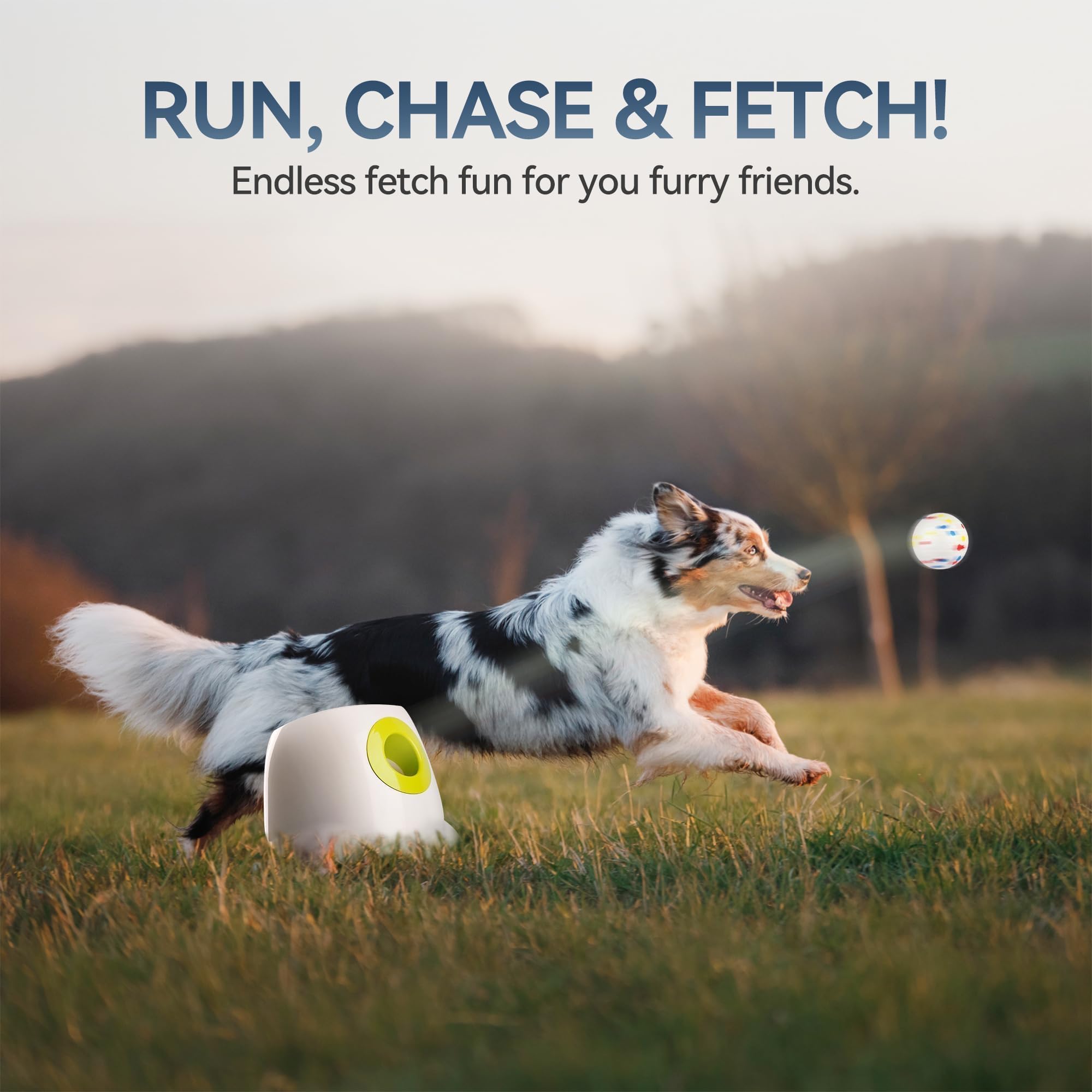 All For Paws ball launcher, dog fetch action shows energetic play and exercise.