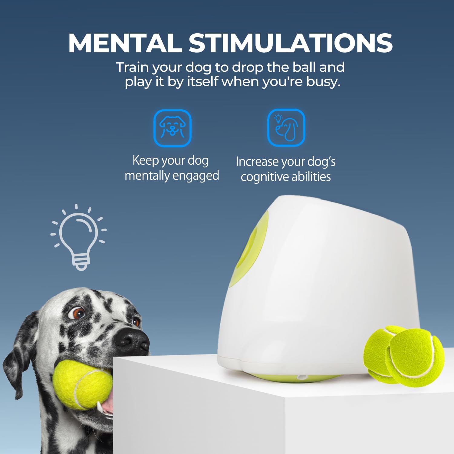 ALL FOR PAWS ball launcher indoor play supports timed fetch without direct human involvement.