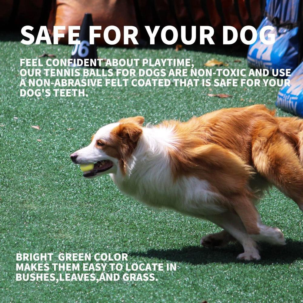ALL FOR PAWS ball launcher-ready 2in ball promises reliable bounce for fetch.