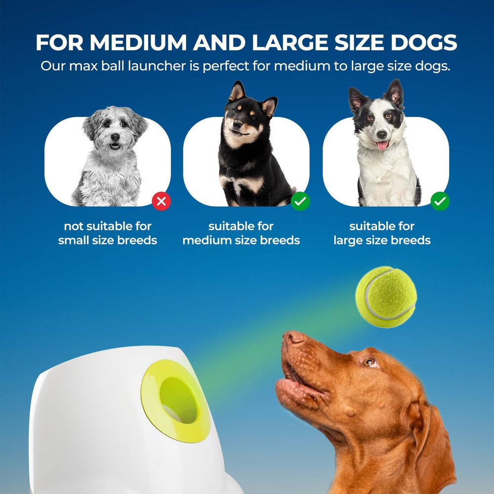 ALL FOR PAWS ball launcher includes six 2.5-inch balls for ready-to-play fetch.