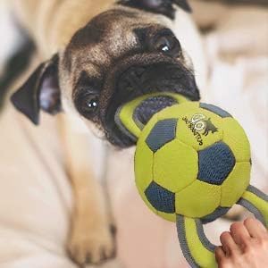ALL FOR PAWS Ballistic ball for solo or group play with dogs.