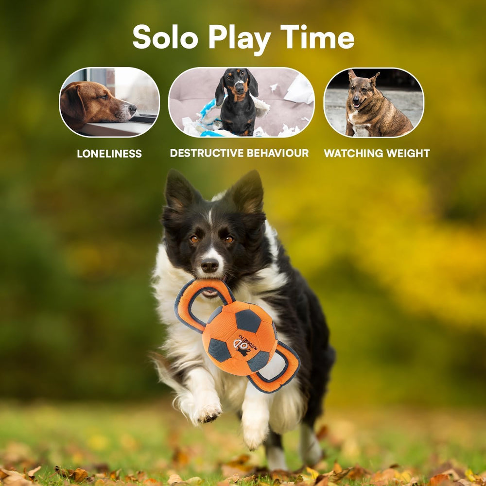 ALL FOR PAWS Ballistic Handle Ball Toy designed for corgis and similar-sized breeds.