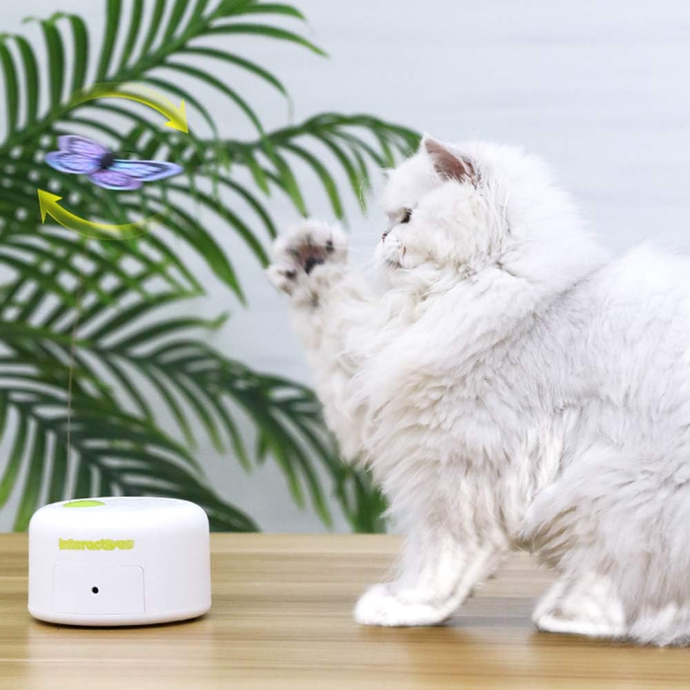 ALL FOR PAWS 30-second auto-stop design conserves batteries during playful sessions.