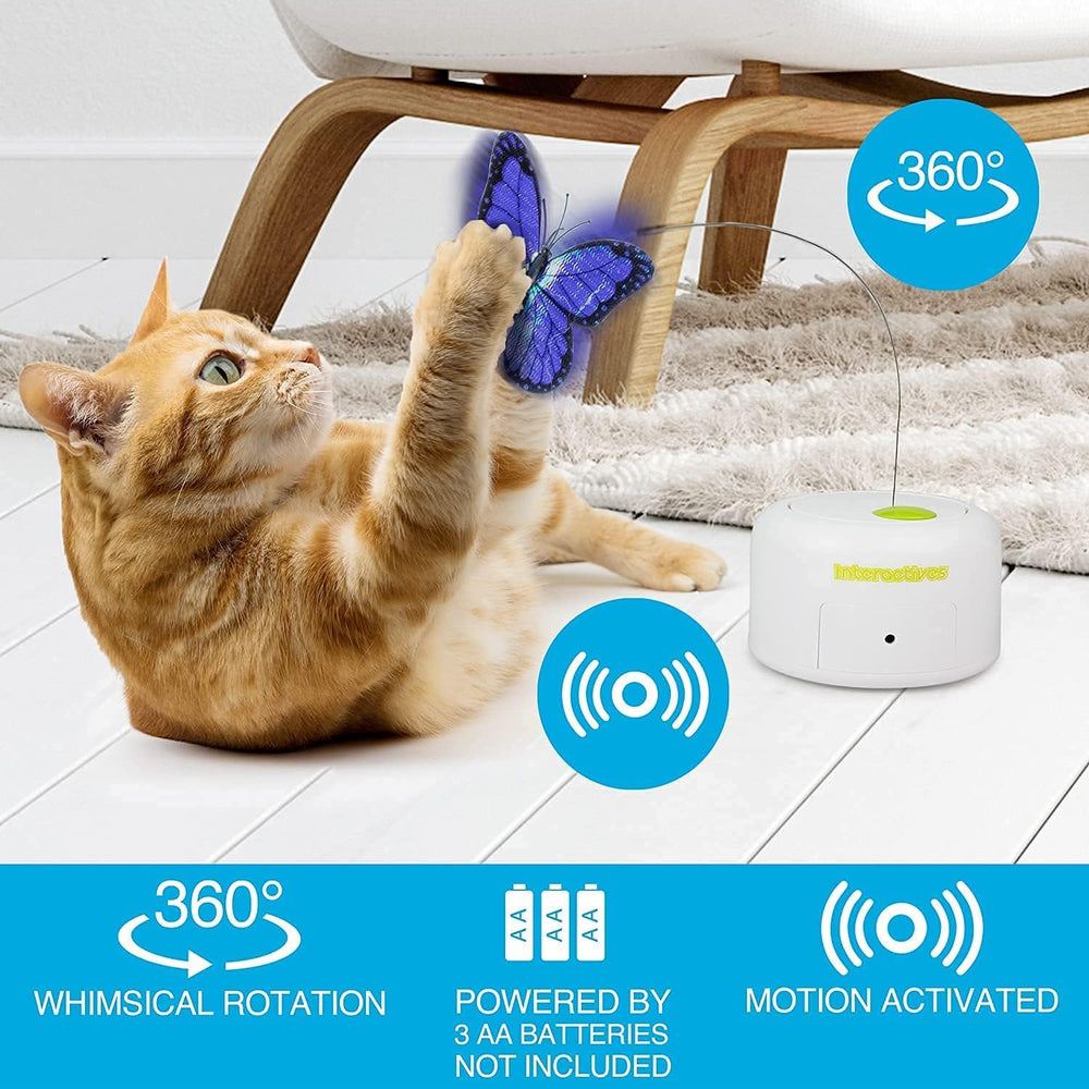 ALL FOR PAWS 360° rotating butterfly demonstrates unpredictable motion for interactive play.