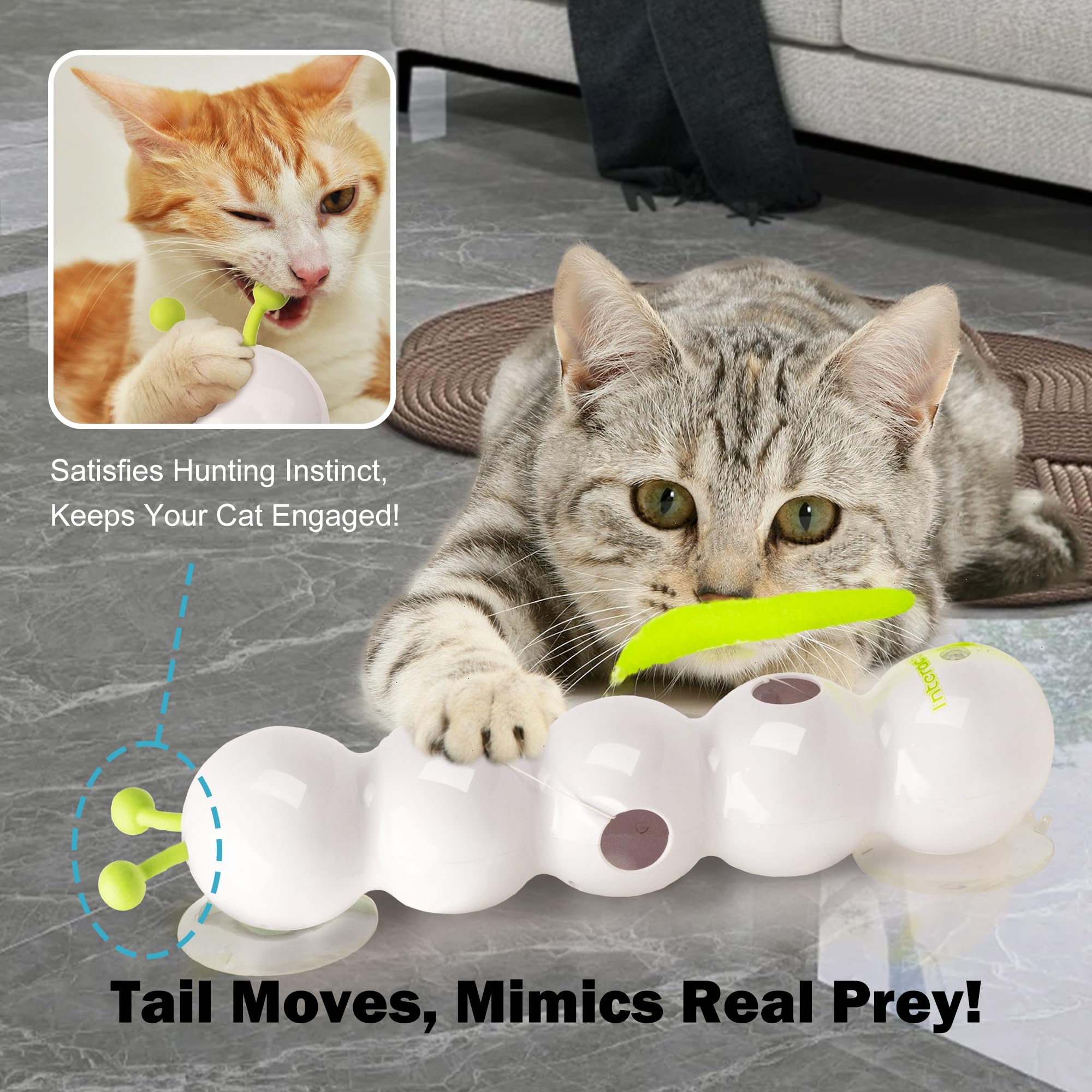 ALL FOR PAWS Cat Toy Suction Cup stable play keeps paws busy on windows or doors.