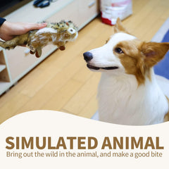 ALL FOR PAWS chipmunk dog toy close-up fur texture adds lifelike realism