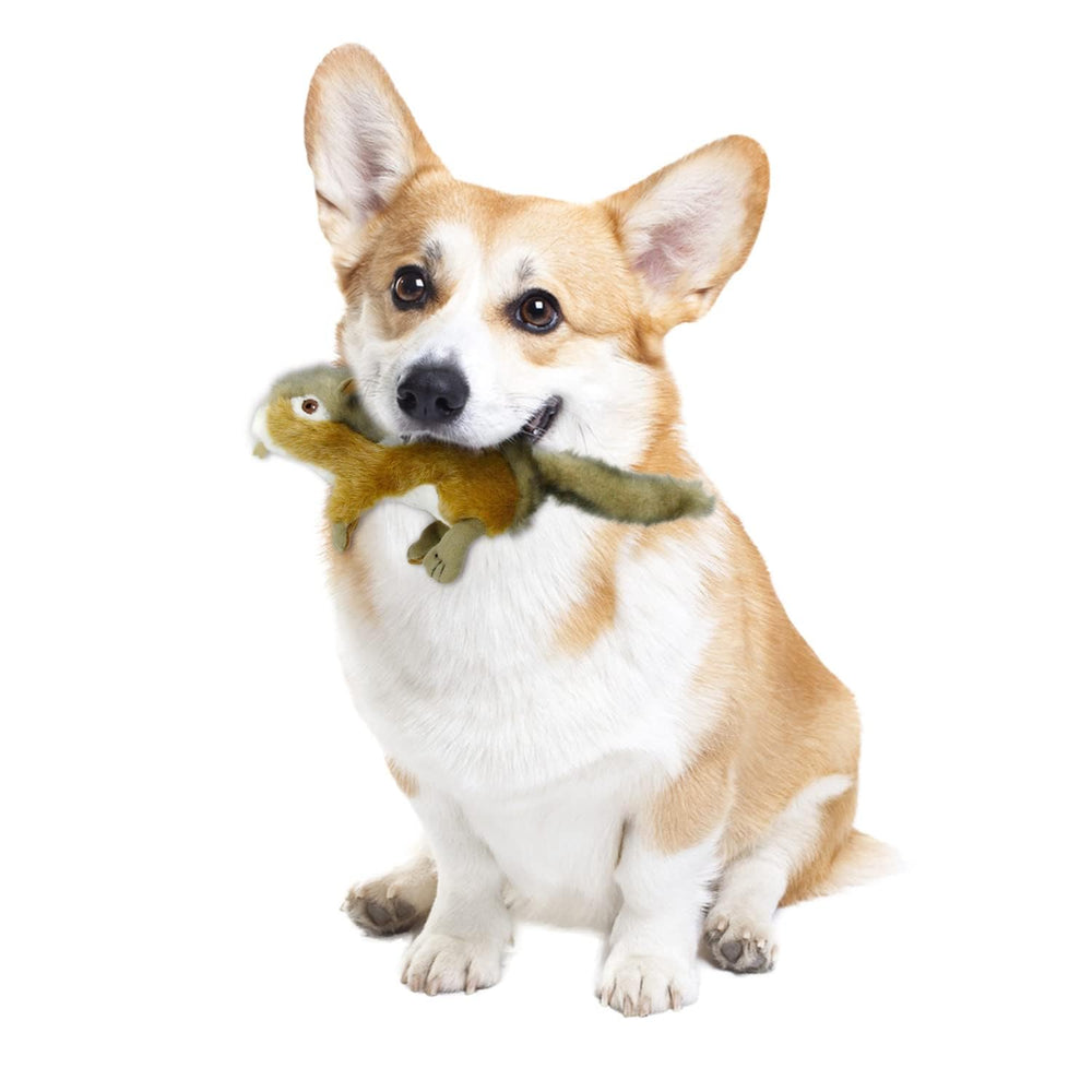 ALL FOR PAWS chipmunk toy lightweight and portable for outdoor play