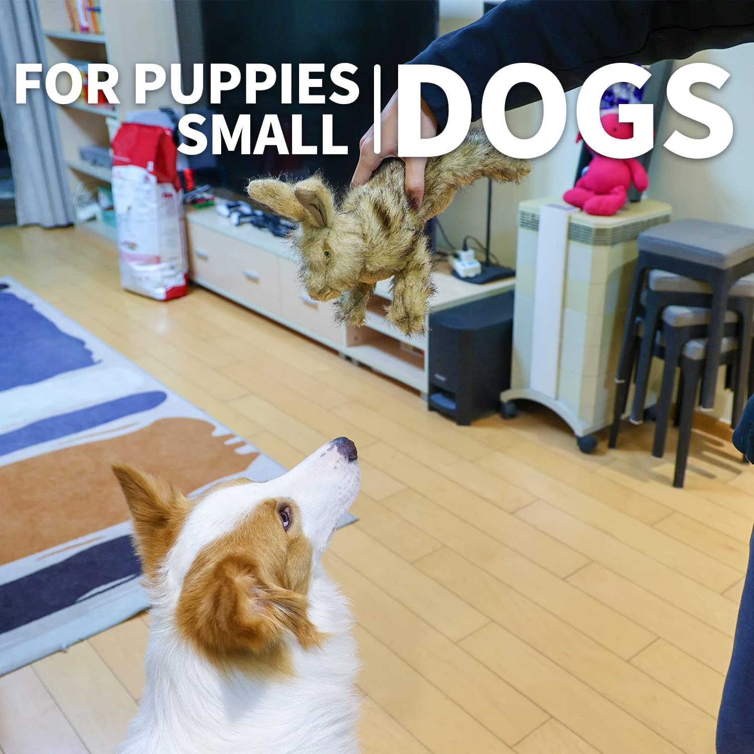 ALL FOR PAWS Classic Rabbit toy with squeaker supports exercise and positive training momentum