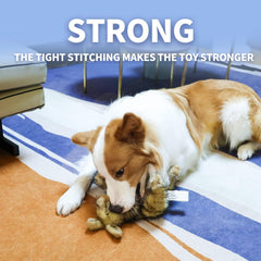 ALL FOR PAWS Rabbit toy with squeaker to encourage active, interactive fetch sessions