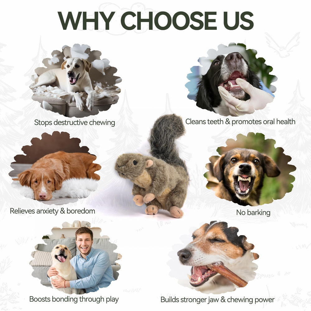 ALL FOR PAWS Classic Squirrel Small dog chew toy for safe, engaging sessions.
