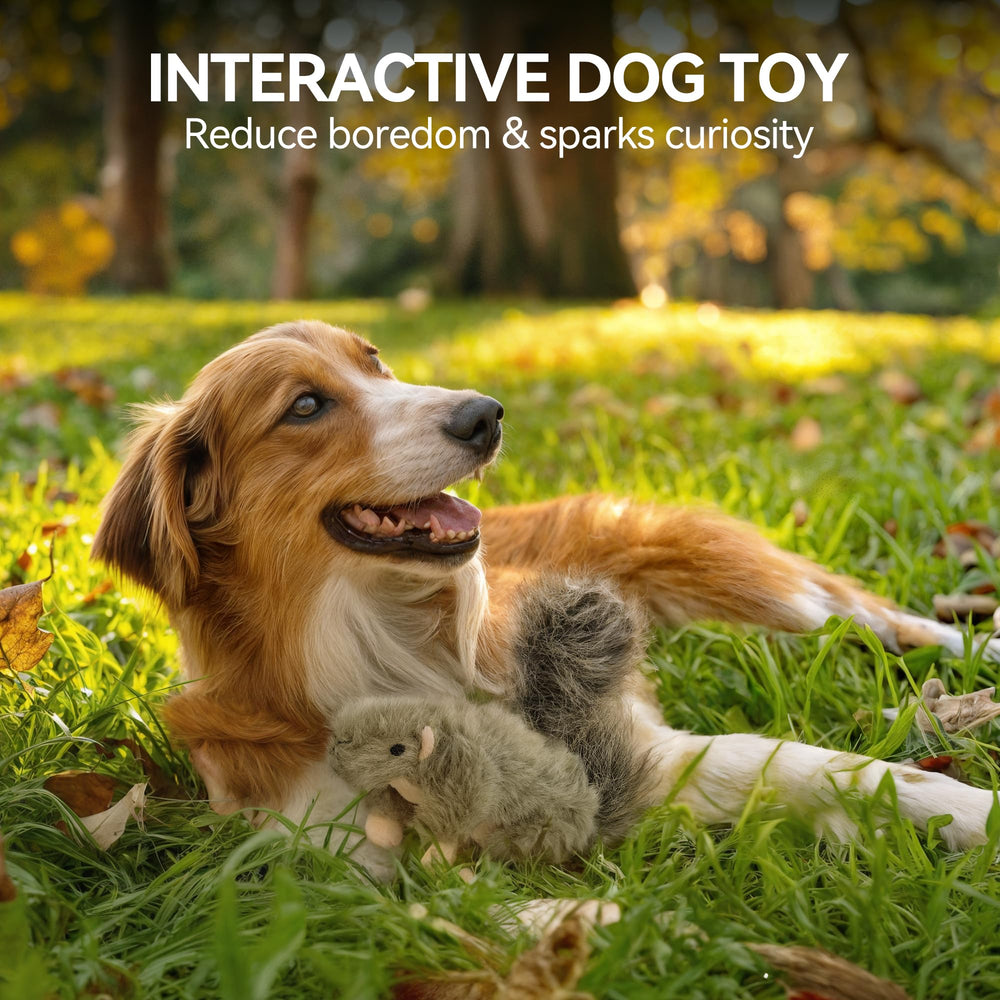 ALL FOR PAWS Classic Squirrel Small measures 6-3-7-2-2 inches for compact toy play.