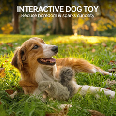 ALL FOR PAWS Classic Squirrel Small measures 6-3-7-2-2 inches for compact toy play.