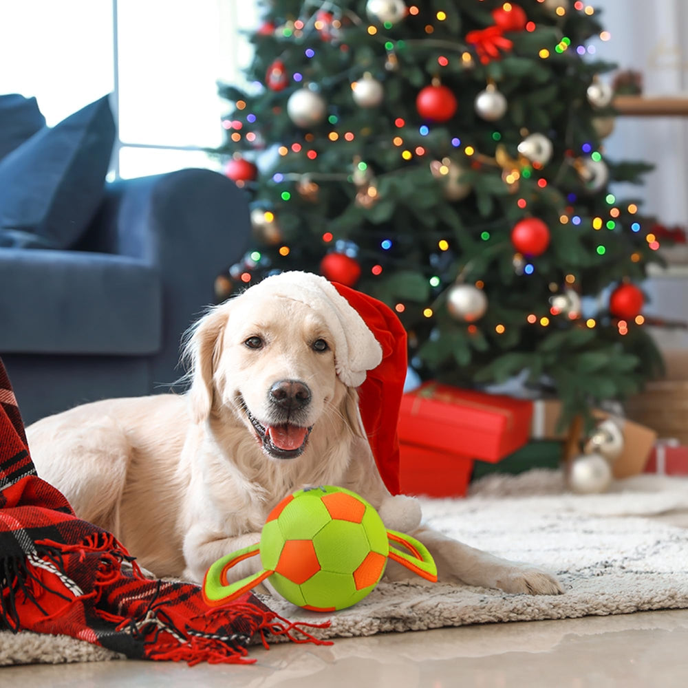 ALL FOR PAWS dog ball durable-material image highlights upgraded materials for lasting play.