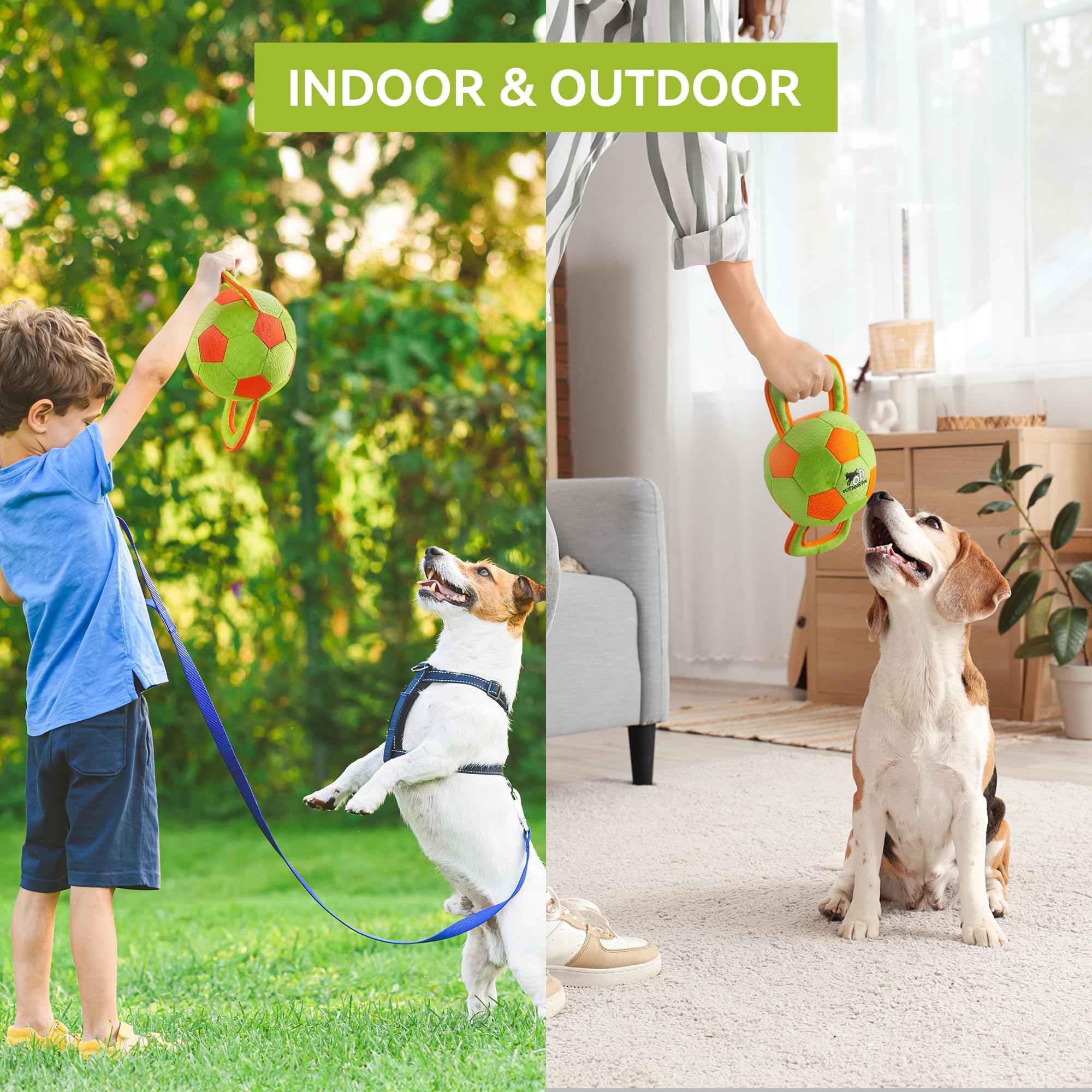 ALL FOR PAWS dog ball indoor play supports easy grabbing and light exercise.