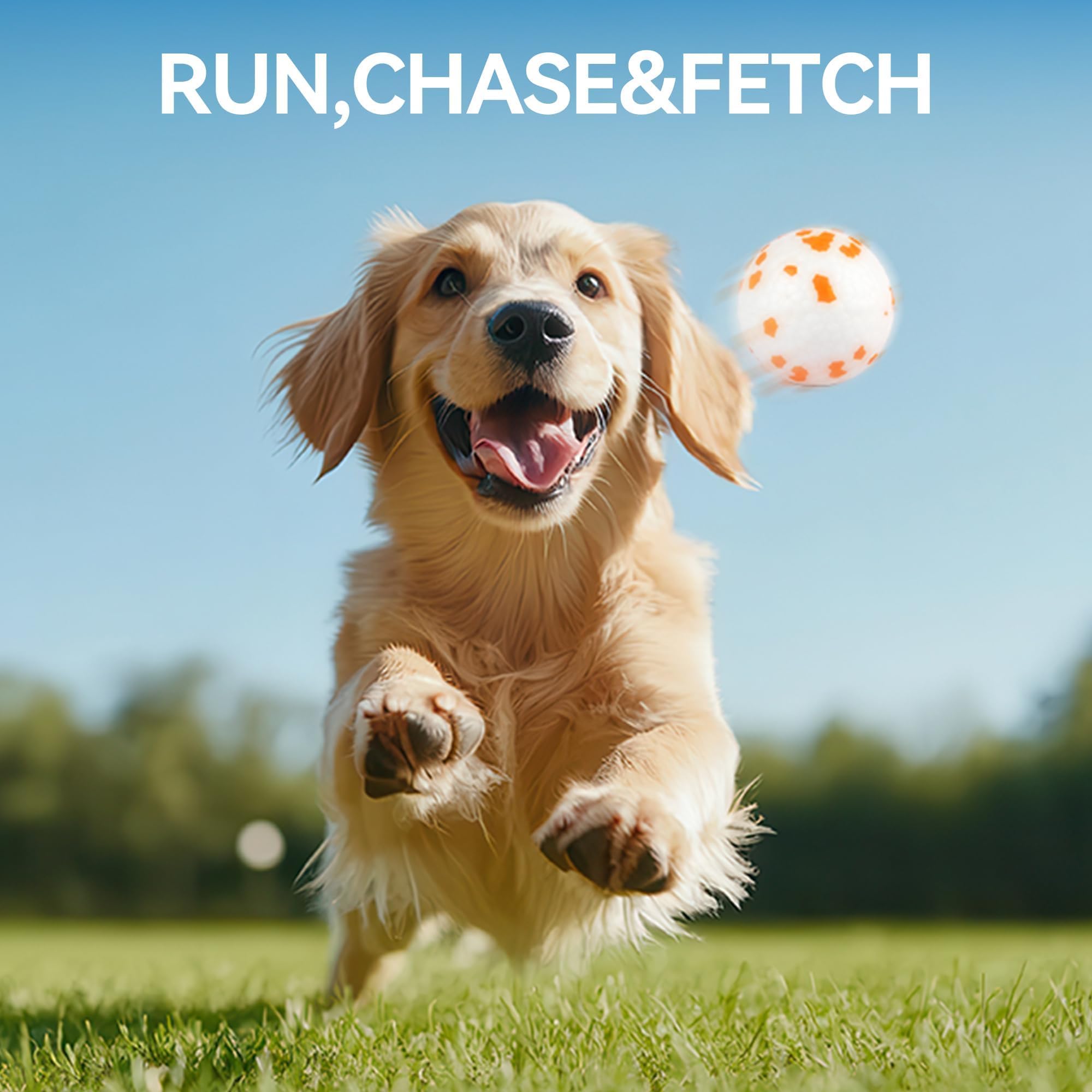ALL FOR PAWS dog ball launcher packaging image highlights bundle features.