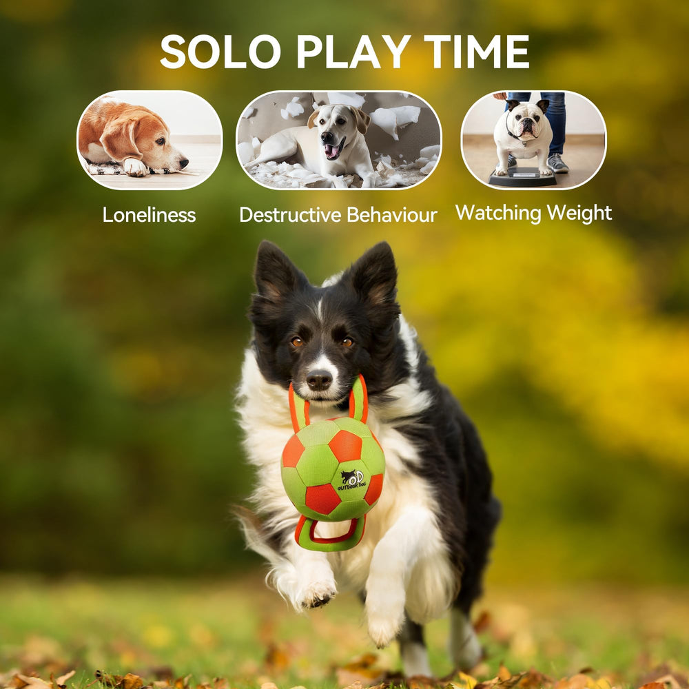 ALL FOR PAWS dog ball outdoor fetch ideal for backyard and park play.