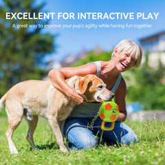 ALL FOR PAWS dog ball small-dog use demonstrates easy-to-grab size for pint-sized breeds.