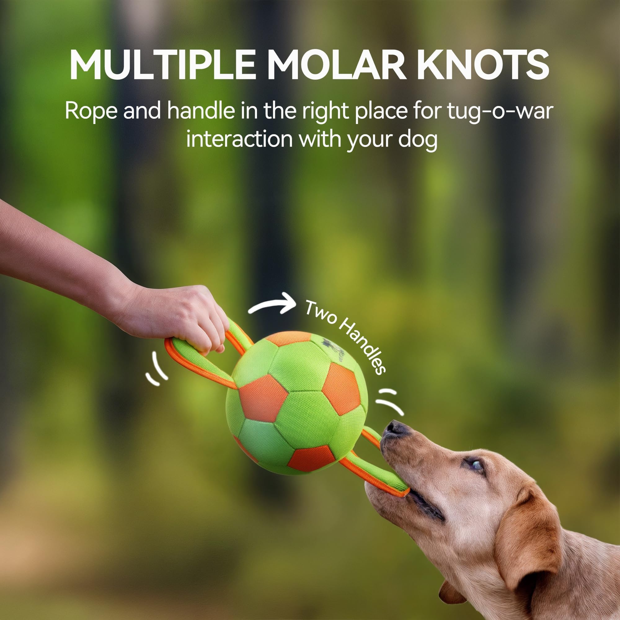 ALL FOR PAWS dog ball with squeaker promotes engaged play during training and fetch.