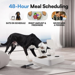 ALL FOR PAWS dog feeder ice pack inside demonstrates freshness maintenance feature.
