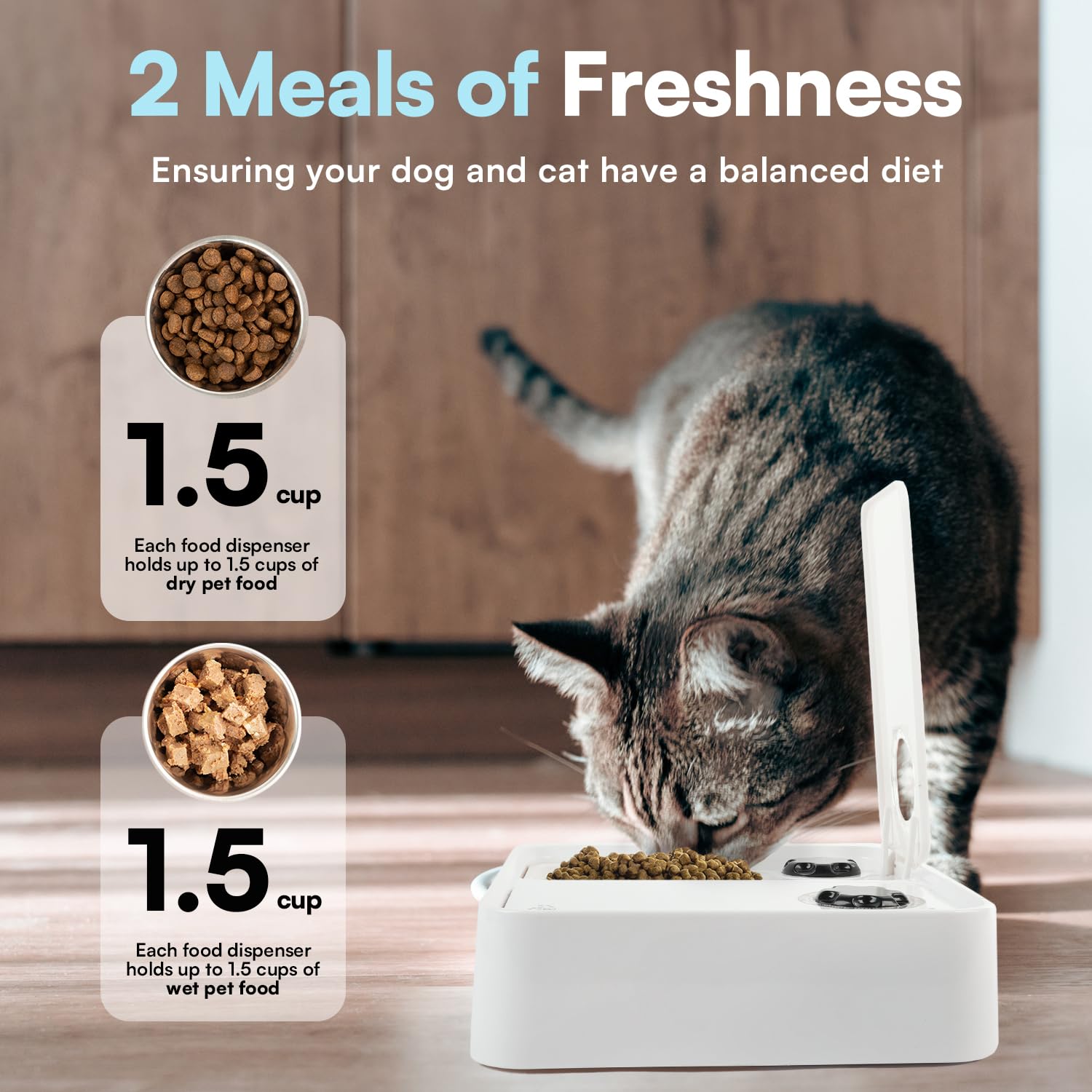 ALL FOR PAWS dog feeder timer programming display shows customizable schedules.