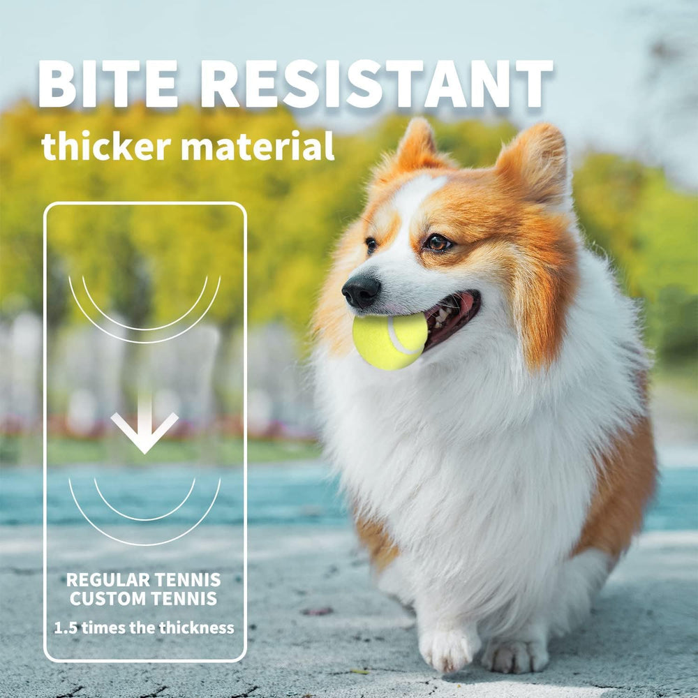 ALL FOR PAWS dog fetch action 2in ball captures lively bounce for outdoor play.