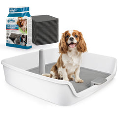 ALL FOR PAWS pee pad holder with raised walls contains mess during training.
