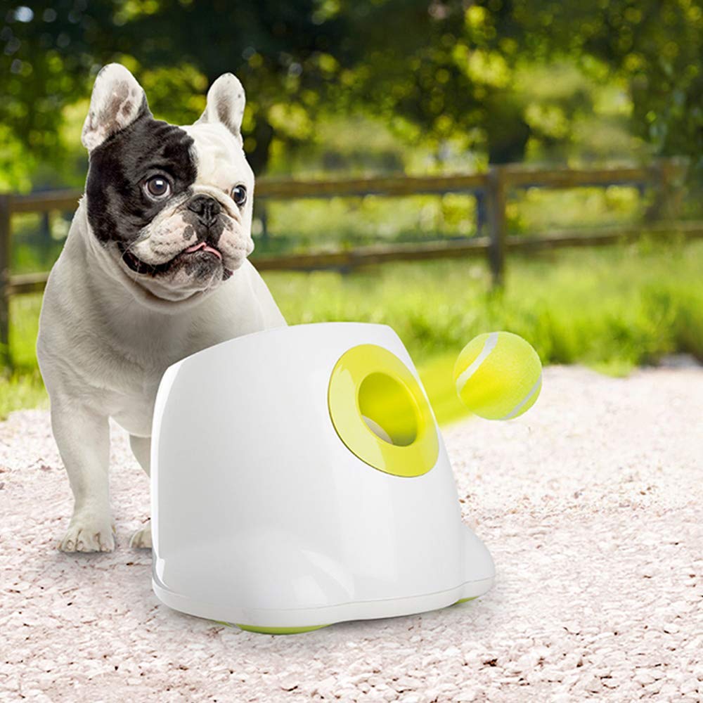 ALL FOR PAWS dog tennis ball park fetch action highlights durable outdoor play.