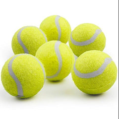 ALL FOR PAWS dog tennis ball teeth-safe material ideal for gentle chewing during training.