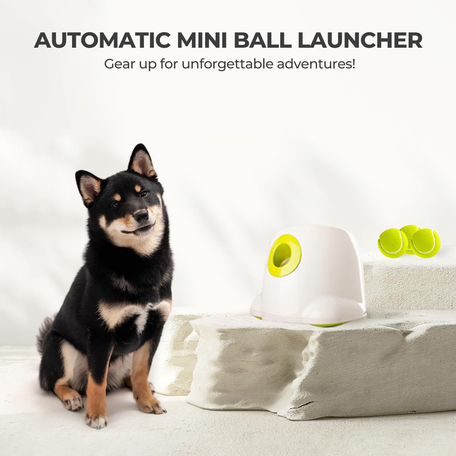 All For Paws durable construction withstands energetic dog play.