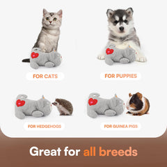 ALL FOR PAWS heartbeat cat plush toy battery compartment enabling easy setup.