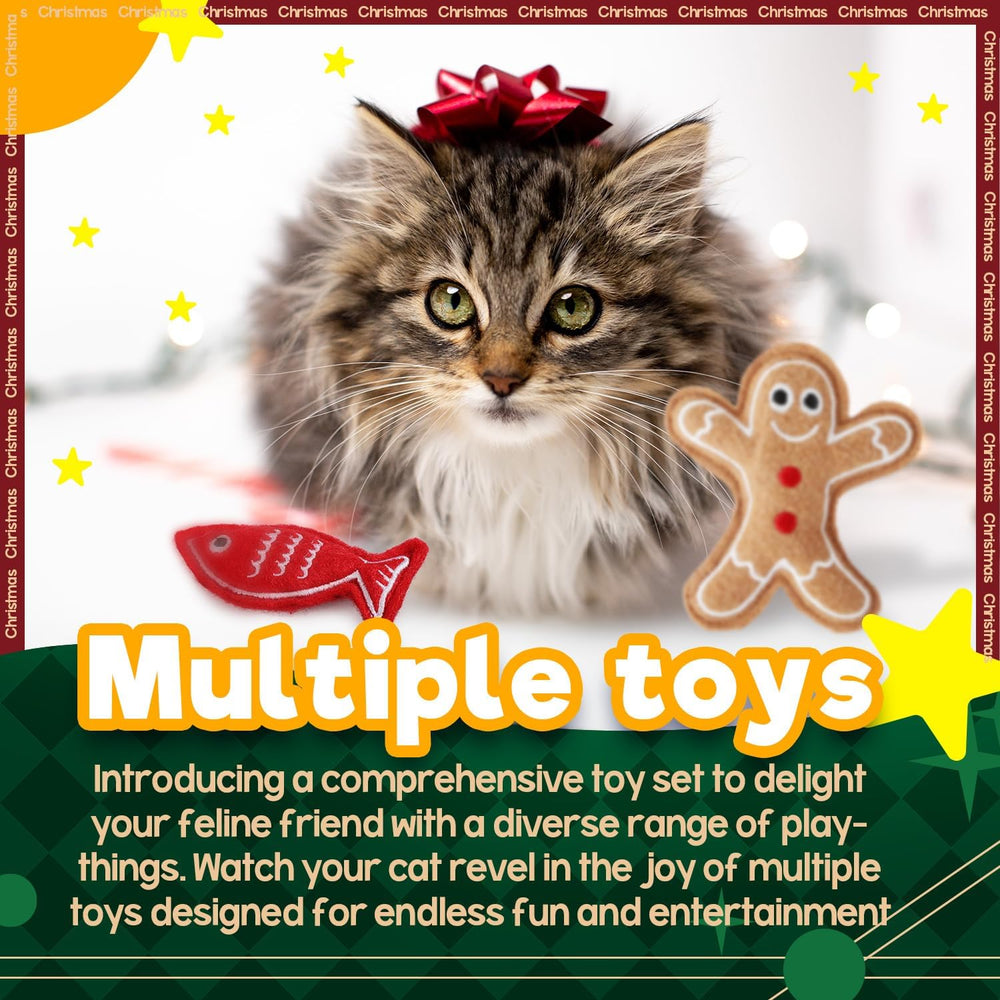 ALL FOR PAWS holiday gift for cats ideal for festive gifting and joy.