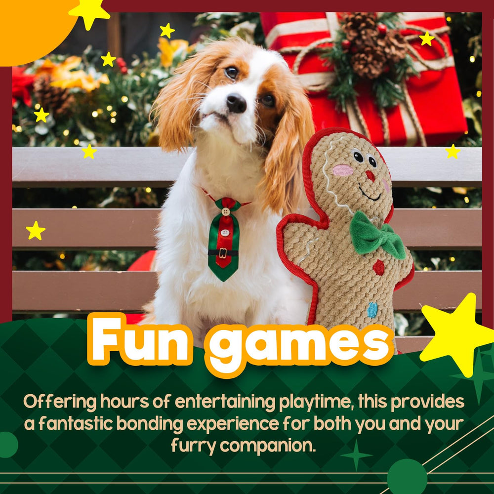 ALL FOR PAWS Christmas dog toy safe for round of fetch