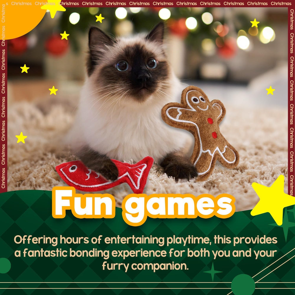 ALL FOR PAWS indoor cat exercise toy supports physical activity and hunting instincts.