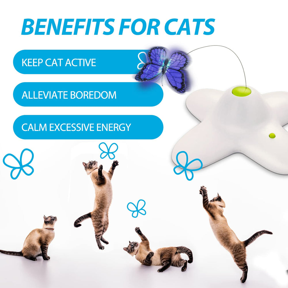 ALL FOR PAWS indoor cat playtime toy promotes exercise and reduces boredom.