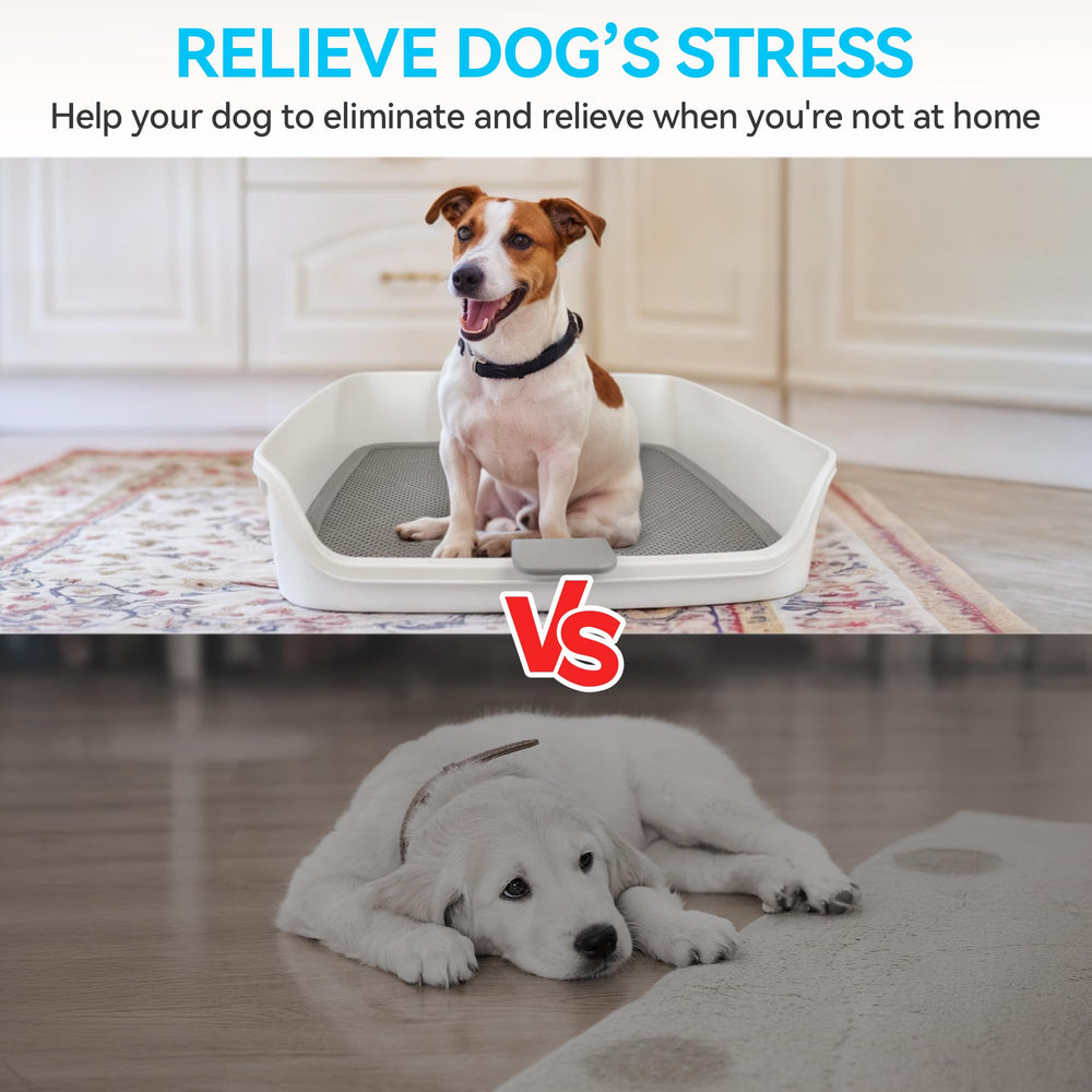 ALL FOR PAWS indoor potty tray shows perforated grate for drainage and cleanliness.