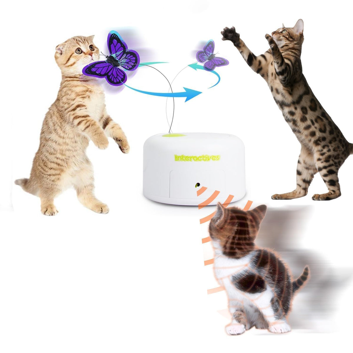 ALL FOR PAWS Interactive Butterfly Toy—front view showcases fluttering for indoor cat play.