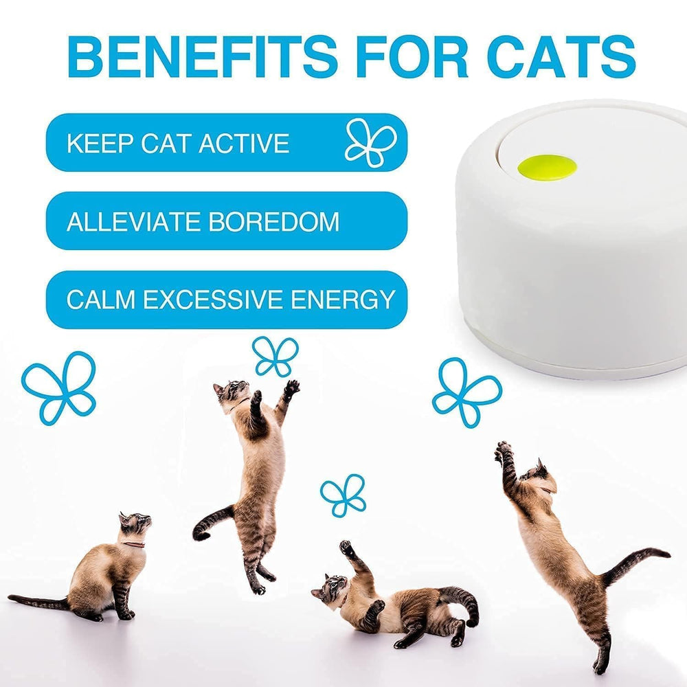 ALL FOR PAWS Butterfly Toy—indoor cat scene emphasizes safe, engaging playtime.