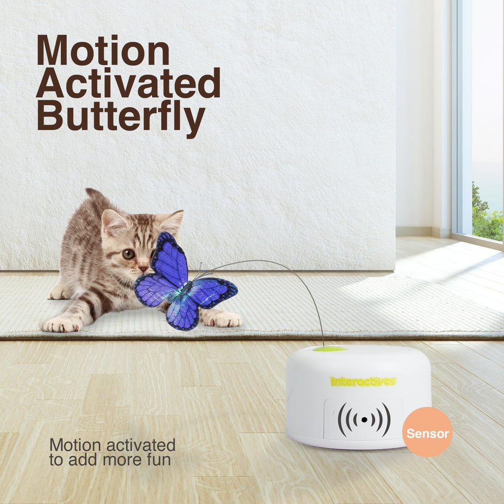 ALL FOR PAWS Butterfly Toy—motion sensor close-up shows automatic activation during approach.