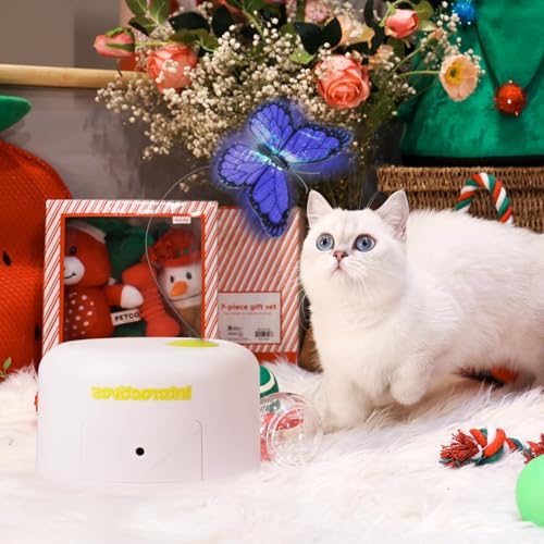 ALL FOR PAWS Butterfly Toy—package contents shot highlights two replacement butterflies.