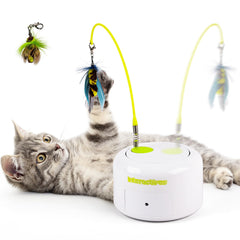 ALL FOR PAWS Interactive Cat Toy bug flutter on floor boosts curiosity and exercise.