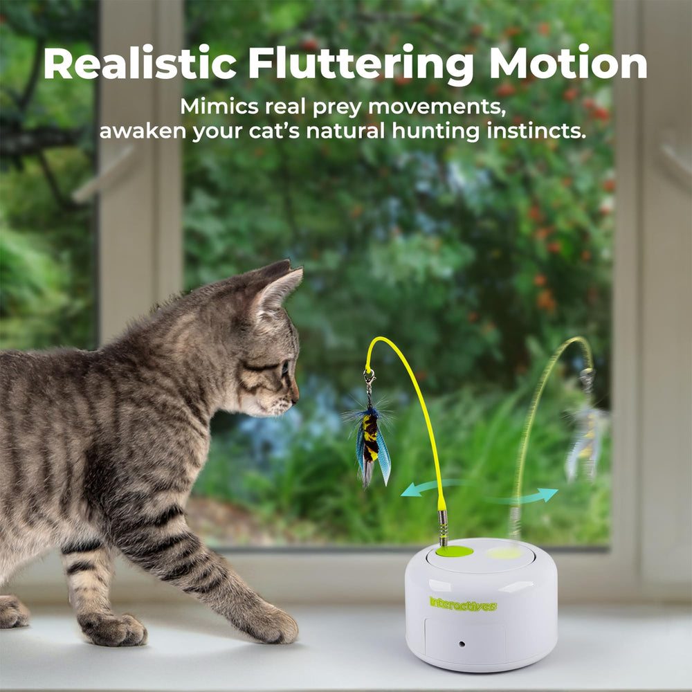 ALL FOR PAWS Interactive Cat Toy indoor exercise benefits active cats and kittens.