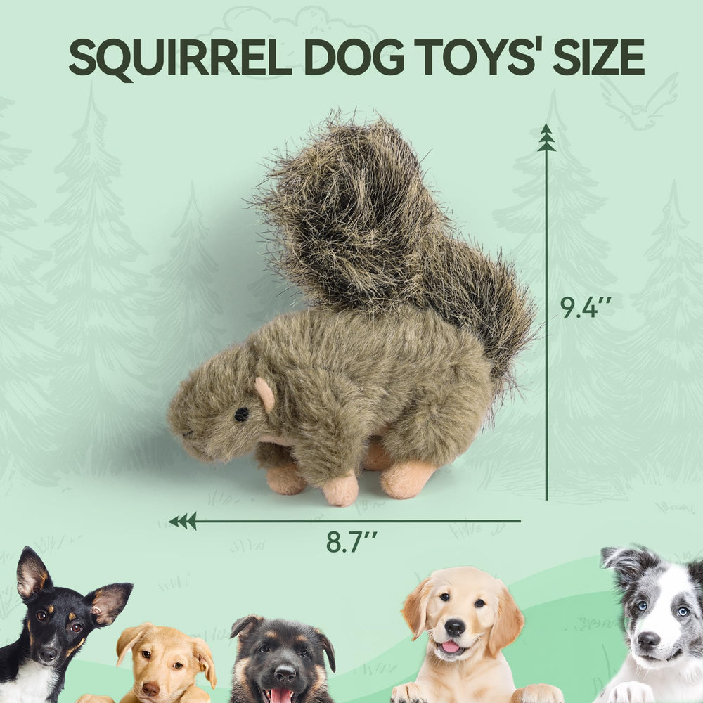 ALL FOR PAWS fetch-and-play setup encourages active exercise and social playtime.