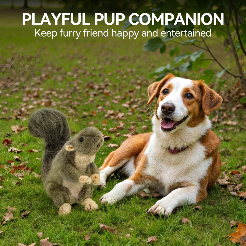 ALL FOR PAWS interactive squirrel toy action shot captures dynamic play moments.