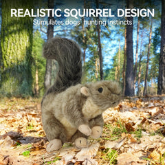 ALL FOR PAWS squirrel plush toy built-in squeaker enhances interactive fetch and chew sessions.
