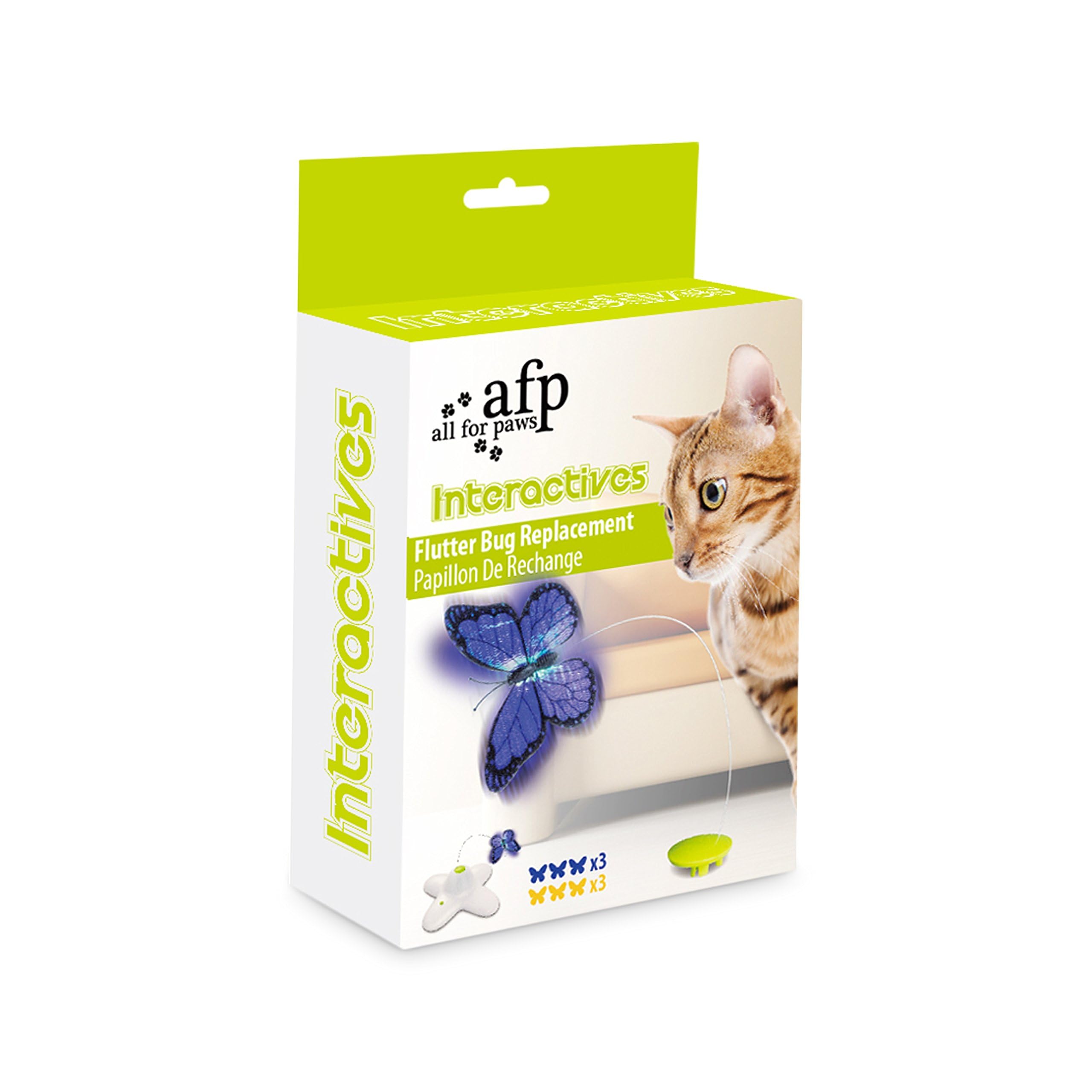 All for Paws kitty playing with butterfly spinner for interactive enrichment