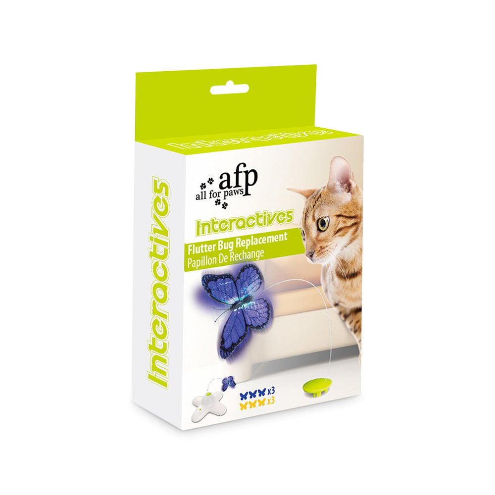 All for Paws kitty playing with butterfly spinner for interactive enrichment