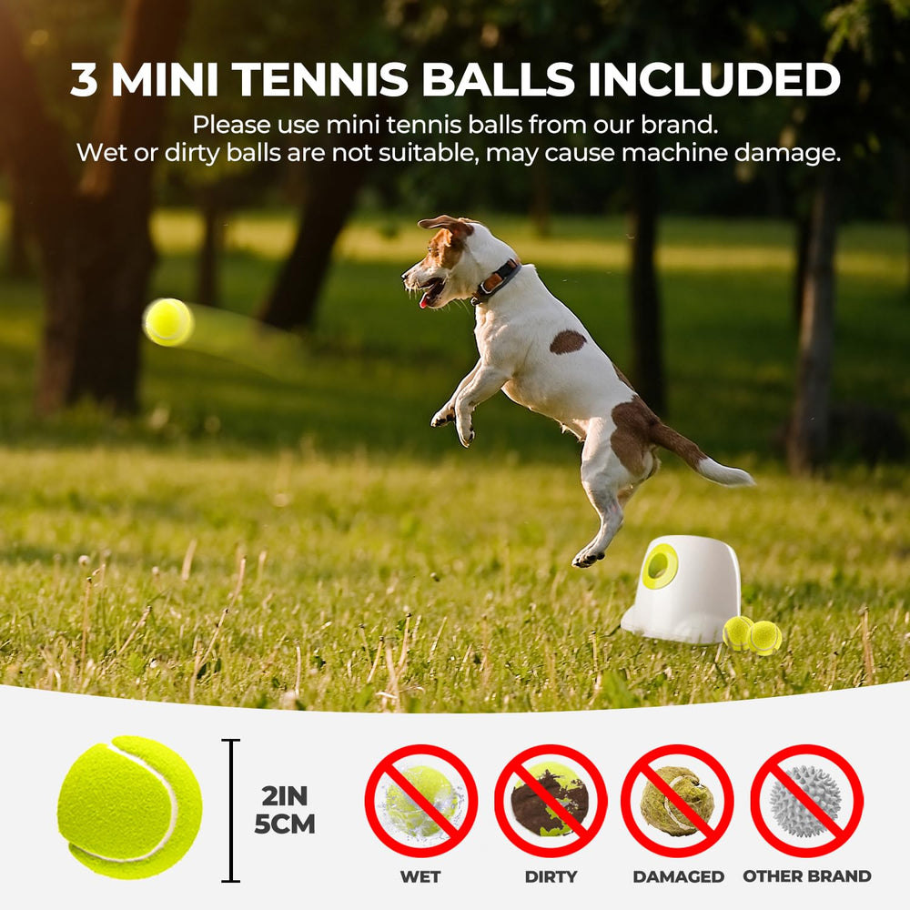 All For Paws launcher in use highlights interactive play and bonding time.