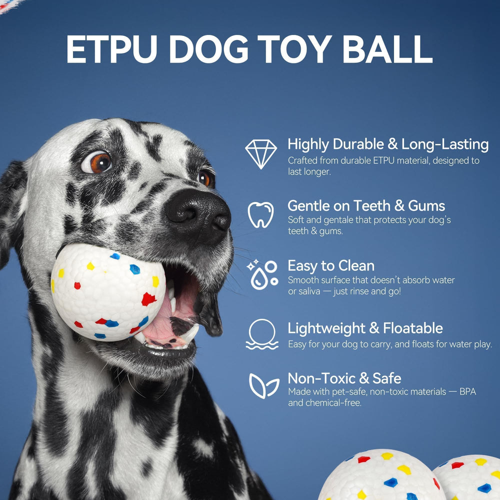 All For Paws loading single ball shot emphasizes simple one-at-a-time use.