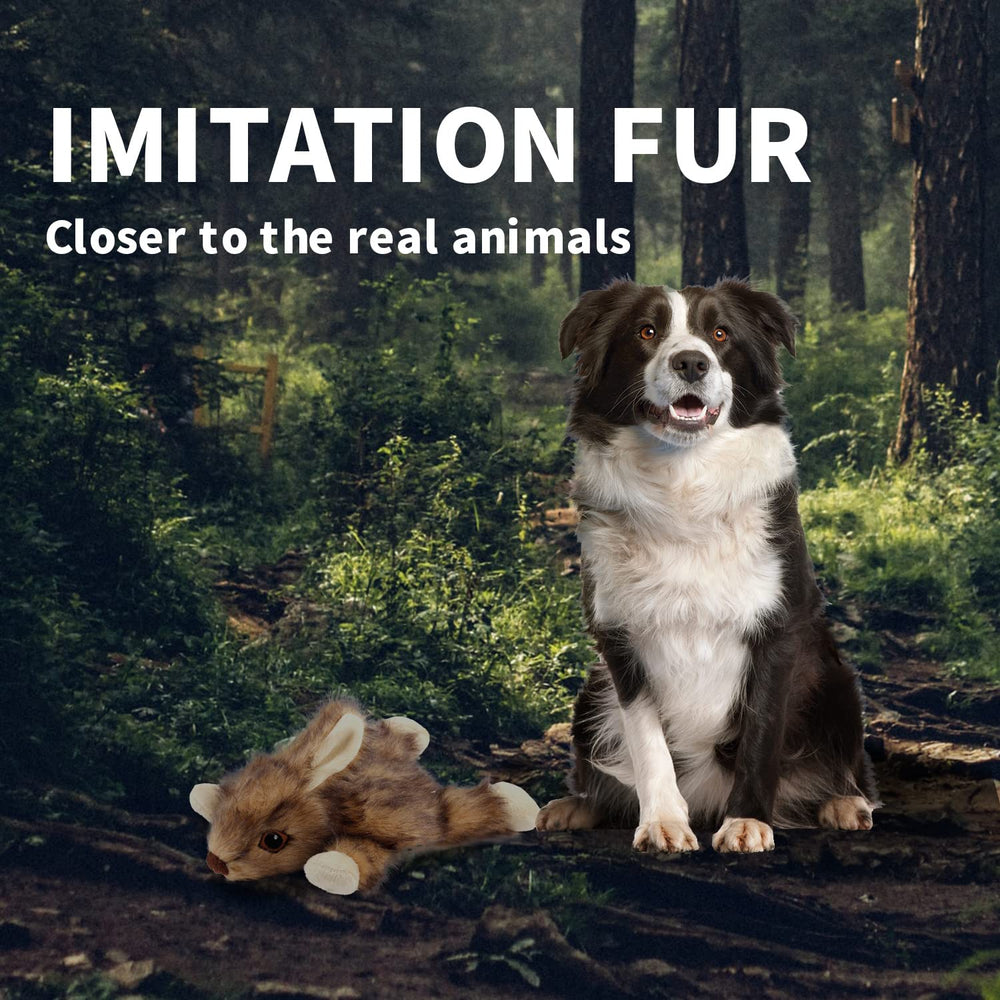 ALL FOR PAWS Orel Rabbit Toy double-use fetch and chew.
