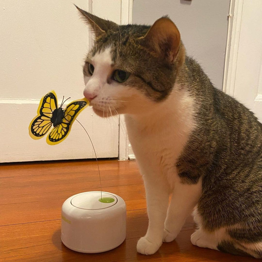 ALL FOR PAWS Replacement butterfly included for continued enrichment and ongoing excitement.